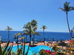 uma piscina com palmeiras e o oceano em Jema Apartamento Playa San Marcos by HRTenerife Net em Icod de los Vinos
