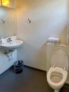 a bathroom with a toilet and a sink at Liv's Guesthouse in Tórshavn