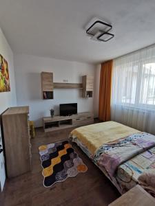 um quarto com uma cama e uma televisão de ecrã plano em Apartament ASR em Piatra Neamţ