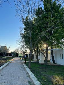 una acera junto a un edificio blanco con árboles en Agriturismo Tenuta la Monaca, en Aradeo