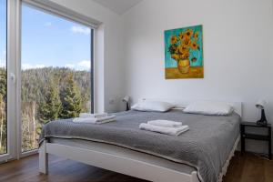 - une chambre avec un lit et une grande fenêtre dans l'établissement Mount hotel, à Slavsko