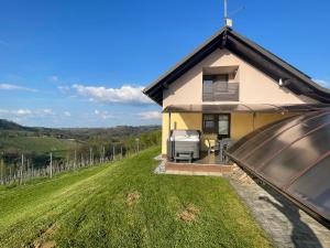 - une vue aérienne sur une maison avec une grande cour dans l'établissement Liveza House, à Miklavž pri Ormožu