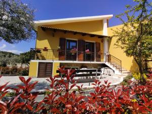 a yellow house with red plants in front of it at Le fresie 