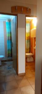 y baño con ducha y aseo. en Green House Source Vrilo, en Tomislavgrad