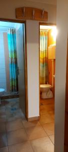a bathroom with a shower and a toilet at Green House Izvor Vrilo in Tomislavgrad +22 photos