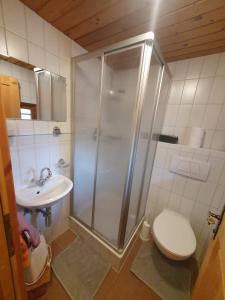 ein Bad mit einer Dusche, einem WC und einem Waschbecken in der Unterkunft Weiherhütte Ried in Ried im Oberinntal