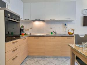 Kuchyň nebo kuchyňský kout v ubytování Apartmaji Jakob 1