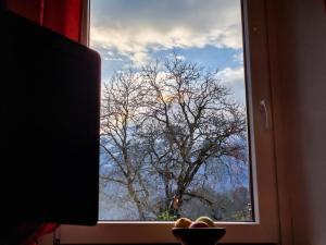 TV a/nebo společenská místnost v ubytování Apartmaji Jakob 1