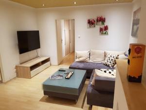 TV a/nebo společenská místnost v ubytování Esslinger Hauptstr Spacious apartment with loggia