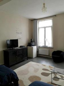 a living room with a television and a rug at Appartement de 2 chambres avec wifi a Givet in Givet
