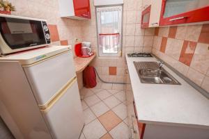 Kuchyň nebo kuchyňský kout v ubytování Apartments Sopic