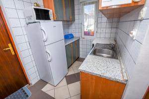 Kuchyň nebo kuchyňský kout v ubytování Apartments Sopic + 22 fotografií