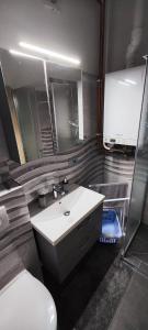 bagno con lavandino, servizi igienici e specchio di Bibas a Križevci