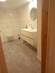 a bathroom with a sink and a toilet at Stübchen in Nonnweiler