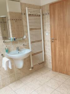 een badkamer met een wastafel en een spiegel bij Golf Hotel Karolina in Karlsbad