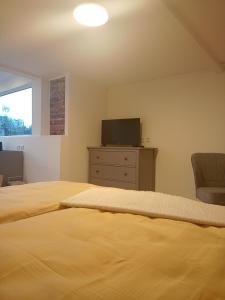 1 dormitorio con 1 cama grande y TV en Stübchen en Nonnweiler
