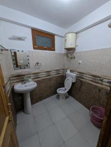 馬拉里的住宿－Attic Monkey Cafe & Rooms，一间带卫生间和水槽的浴室