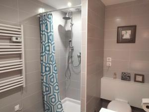 ein Bad mit einer Dusche und einem WC in der Unterkunft Les Chambres Hautes d'Anastasia in Rodez