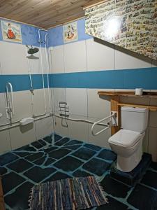 uma casa de banho com um chuveiro e um WC. em Pensión Albergue Matias Locanda em Sarria