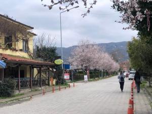 une femme marchant dans une rue avec des arbres à fleurs dans l'établissement Eren Villa, à Sapanca