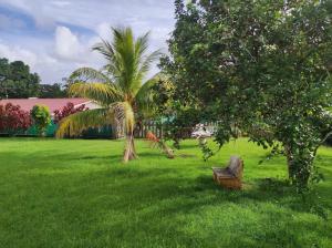 een stoel in een veld met een palmboom bij Villa familiale avec piscine in Le Marin