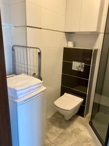 a small bathroom with a toilet and a sink at Apartament Poznańska 24 in Bydgoszcz