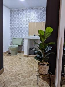 a bathroom with a toilet and a sink and a plant at Habitación privada en el Poblado. Lo mejor de Medellín muy cerca in Medellín