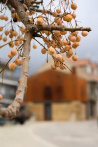 een tak van een boom met vruchten erop bij Casa do Ferreiro in Macedo de Cavaleiros