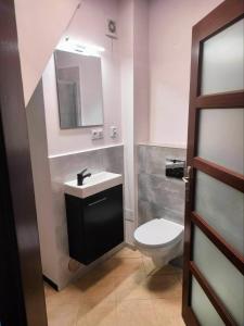 La salle de bains est pourvue de toilettes, d'un lavabo et d'un miroir. dans l'établissement Urocze studia w Łomiankach, 1- z sauną i tarasem, 2- z kominkiem, 3- ekonomiczne, 7km metro Młociny Warszawa, à Łomianki