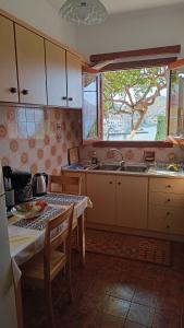 Kuchyň nebo kuchyňský kout v ubytování Pitini Sevasti house