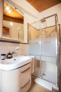 ein Bad mit einem Waschbecken und einer Dusche in der Unterkunft Appartamento Viale Patrono d'Italia in Santa Maria degli Angeli