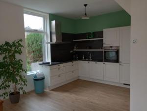 a kitchen with white cabinets and a green wall at Het Dijkstuk in Noordwijkerhout