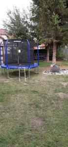 Niebieska ławka w trawie na podwórku w obiekcie Rekreačný dom Tyrkys w Popradzie