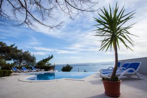a palm tree in a pot next to a swimming pool at Apartments Lovic in Lokva Rogoznica