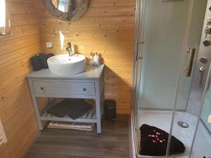 a bathroom with a sink and a shower at Cabin De Duinweg: direct aan duin en bos in Noordwijk