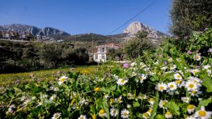 a field of flowers with mountains in the background at Mimas Home in Hisarcık