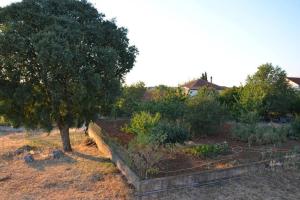 um jardim com uma árvore e uma cerca em House with the ecogarden at the end of the Village em Čitluk