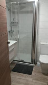 a bathroom with a shower and a sink and a toilet at Japan Beach Parque del Oeste in Málaga