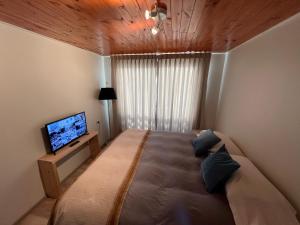 1 dormitorio con 1 cama grande y TV en Golondrina El Tabo, en Las Cruces