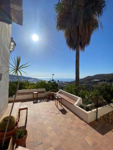 un patio avec deux bancs et un palmier dans l'établissement La Ventera - summer hotel, à Gualchos