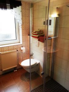 La salle de bains est pourvue de toilettes et d'une douche en verre. dans l'établissement FeWo mit Terrasse - Apartment with terrace, à Rockeskyll