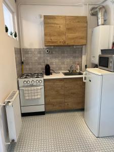 Kuchyňa alebo kuchynka v ubytovaní Belvárosi apartman