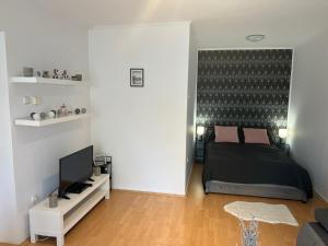 TV a/nebo společenská místnost v ubytování Belvárosi apartman