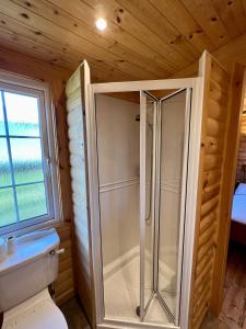 a shower in a bathroom with a toilet and a window at Eagle Lodge in Newton on the Moor