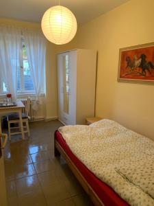 a bedroom with a bed and a table and a desk at Burgfreiheit in Heidelberg