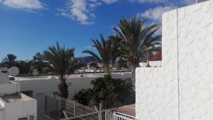 a view of palm trees from a building at Chaparral in Costa Del Silencio