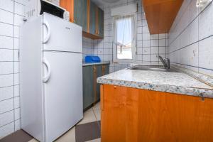 Kuchyň nebo kuchyňský kout v ubytování Apartments Sopic