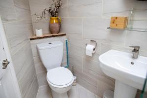 a bathroom with a toilet and a sink at Moor View Apartment, near city centre and stadium in Town Moor