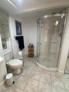 y baño con ducha y aseo. en Lovely oceanside 1-bdrm suite Fireplace HotTub, en Crofton
