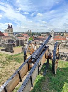 Hostia v ubytovaní Belvárosi apartman